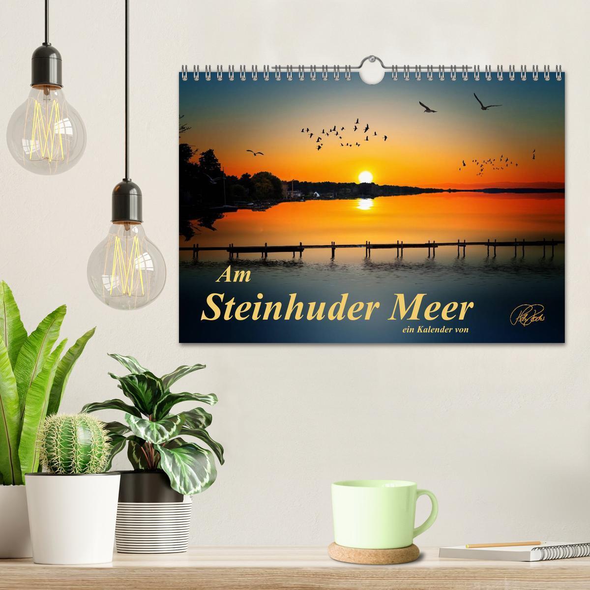 Bild: 9783435744268 | Am Steinhuder Meer (Wandkalender 2025 DIN A4 quer), CALVENDO...