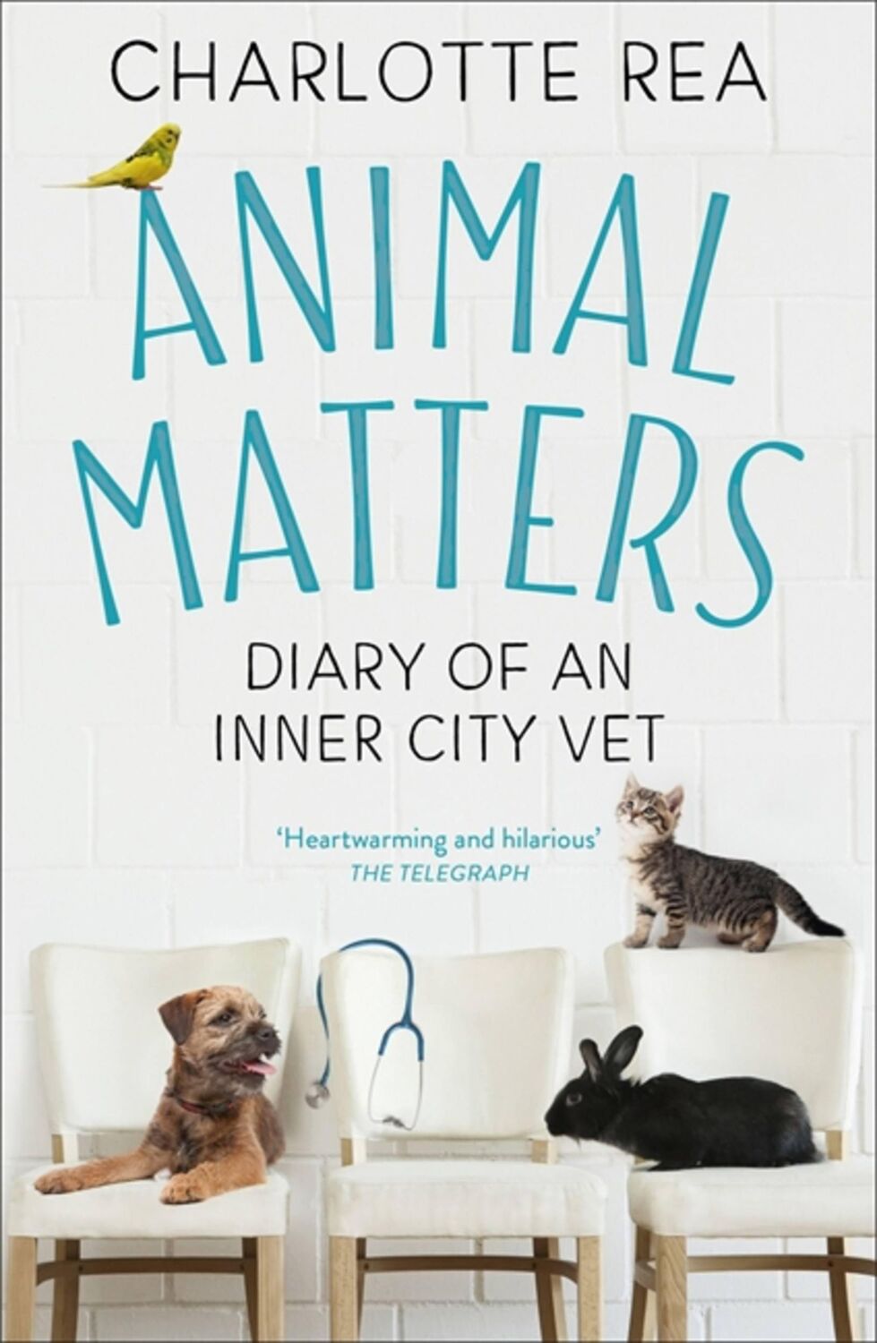 Cover: 9781473694699 | Animal Matters | Diary of an Inner City Vet | Charlotte Rea | Buch