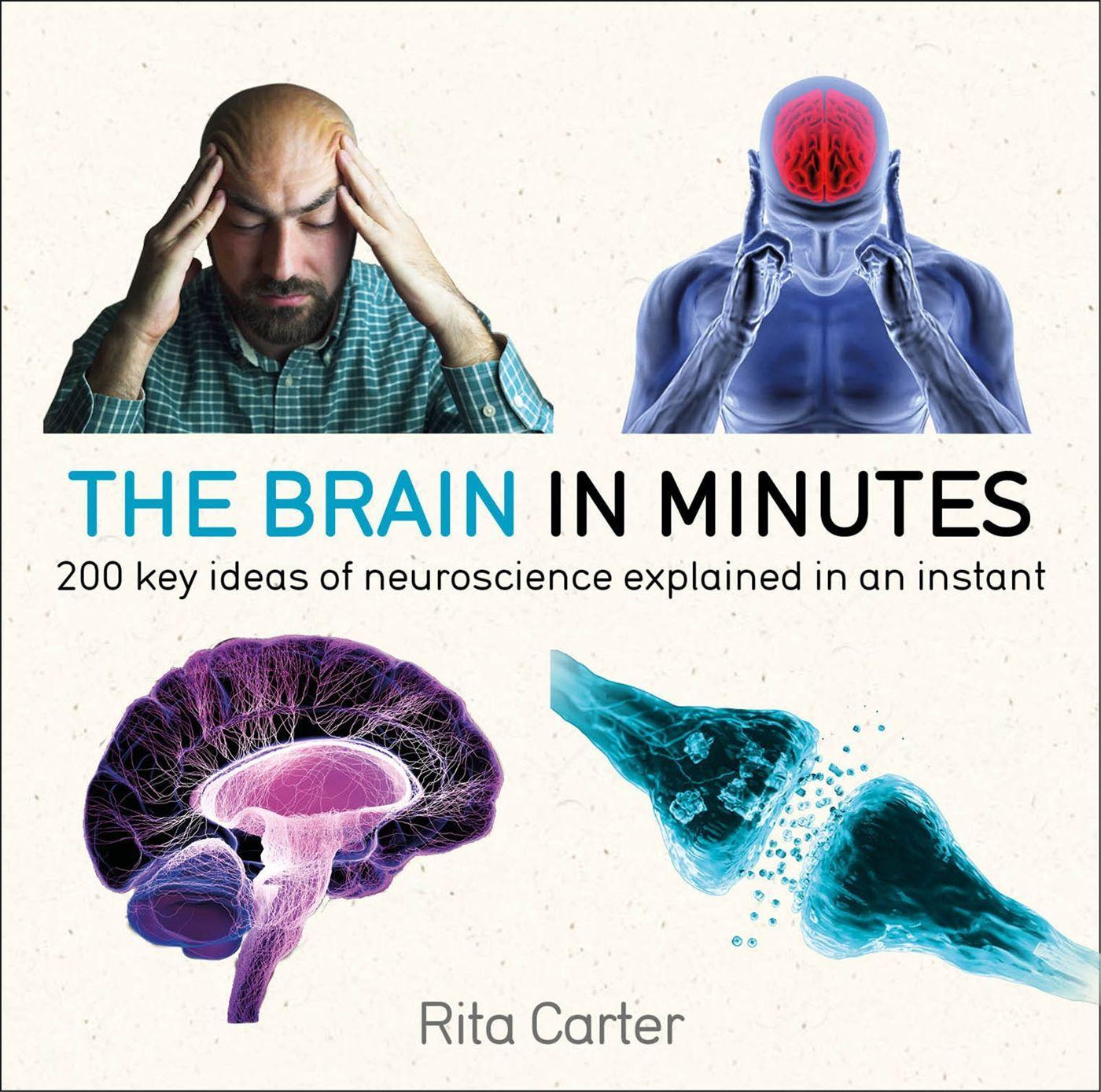 Cover: 9781786485793 | The Brain in Minutes | Rita Carter | Taschenbuch | Englisch | 2018