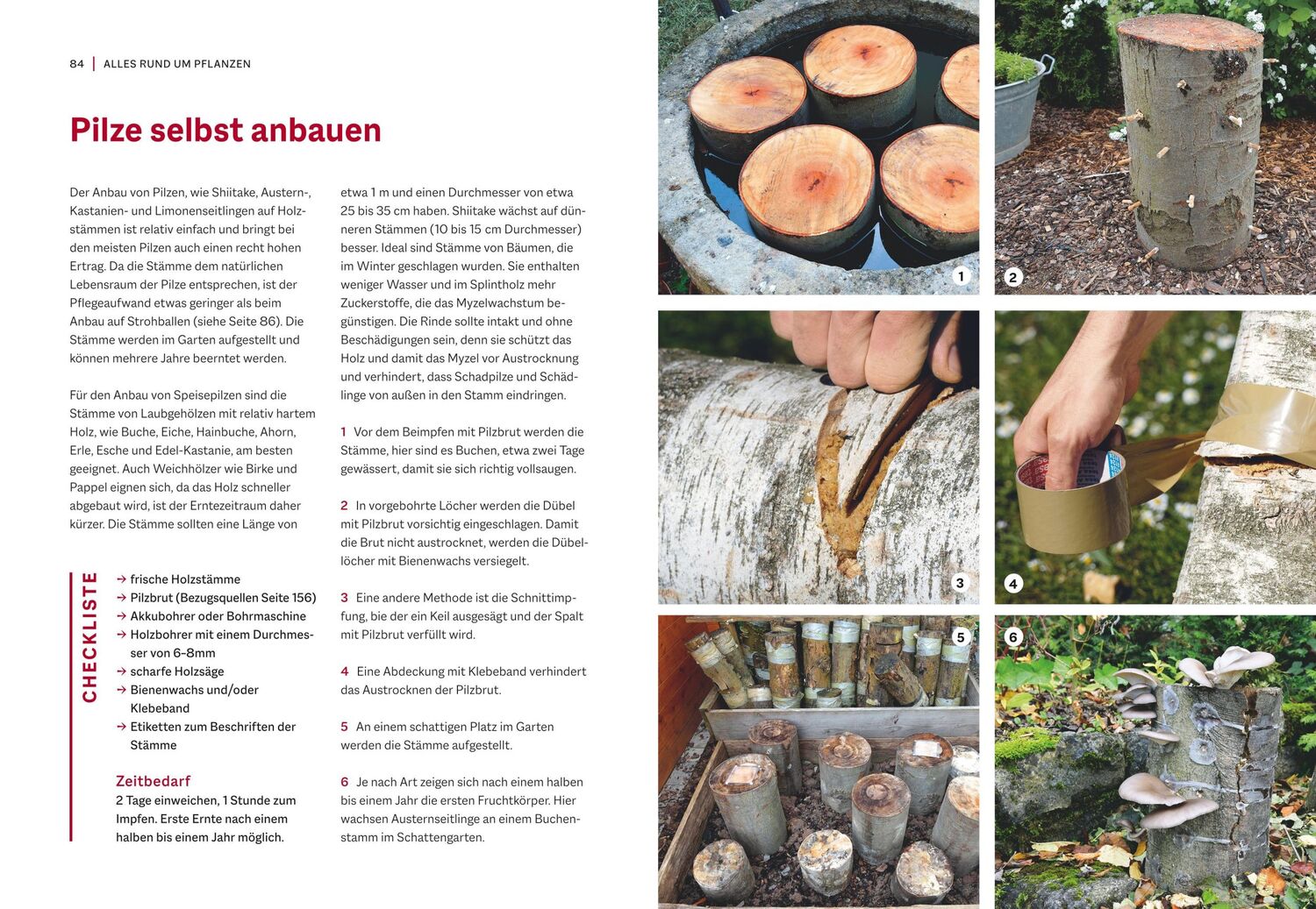 Bild: 9783967471007 | Garten-Projekte für Selbermacher | Folko Kullmann | Buch | 160 S.