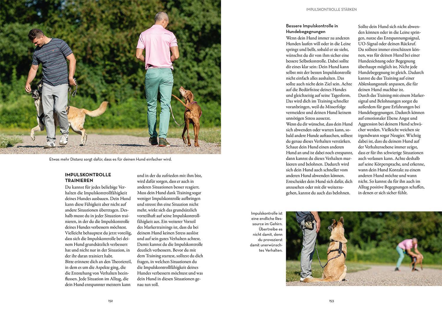 Bild: 9783440167199 | Marker-Training für Hunde | Ulrike Seumel | Taschenbuch | 176 S.