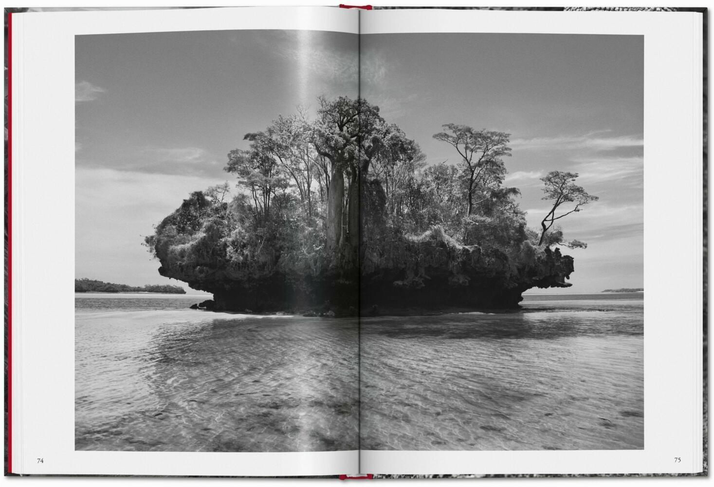 Bild: 9783836594585 | Sebastião Salgado. Génesis | TASCHEN | Buch | 192 S. | Spanisch | 2024