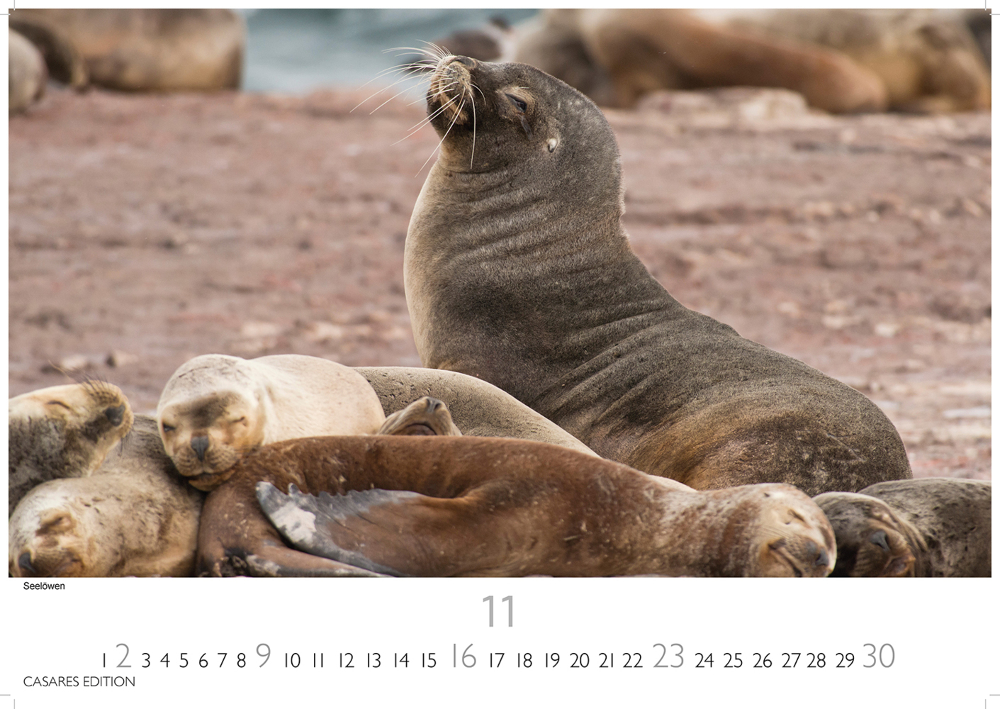 Bild: 9781835242513 | Patagonien 2025 S 24x35cm | Kalender | 14 S. | Deutsch | 2025