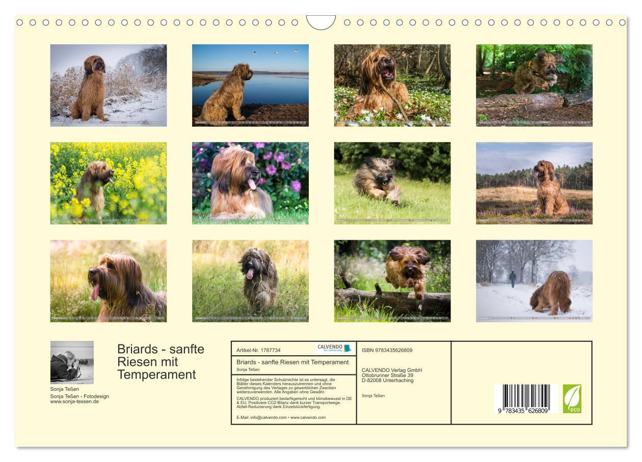 Bild: 9783435626809 | Briards - sanfte Riesen mit Temperament (Wandkalender 2025 DIN A3...