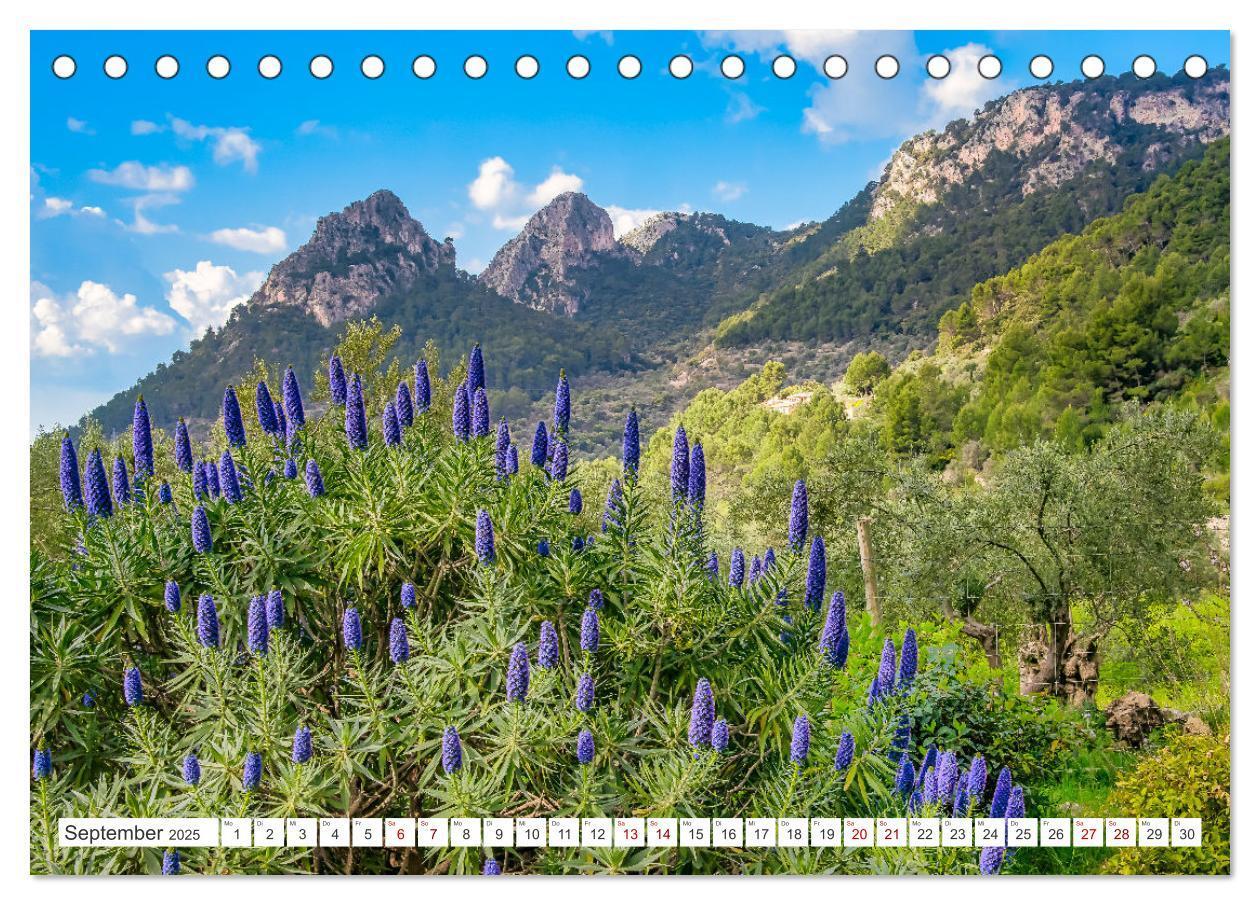 Bild: 9783383892646 | Mallorca - Traumhafte Insel der Balearen (Tischkalender 2025 DIN A5...