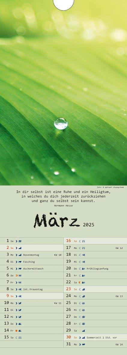 Bild: 9783948276355 | Spirit of Meditation. Kalender 2025 | Kalender | 14 S. | Deutsch