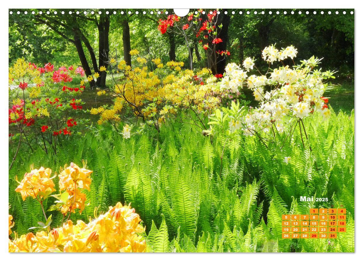 Bild: 9783383989124 | Urlaub im Garten (Wandkalender 2025 DIN A3 quer), CALVENDO...