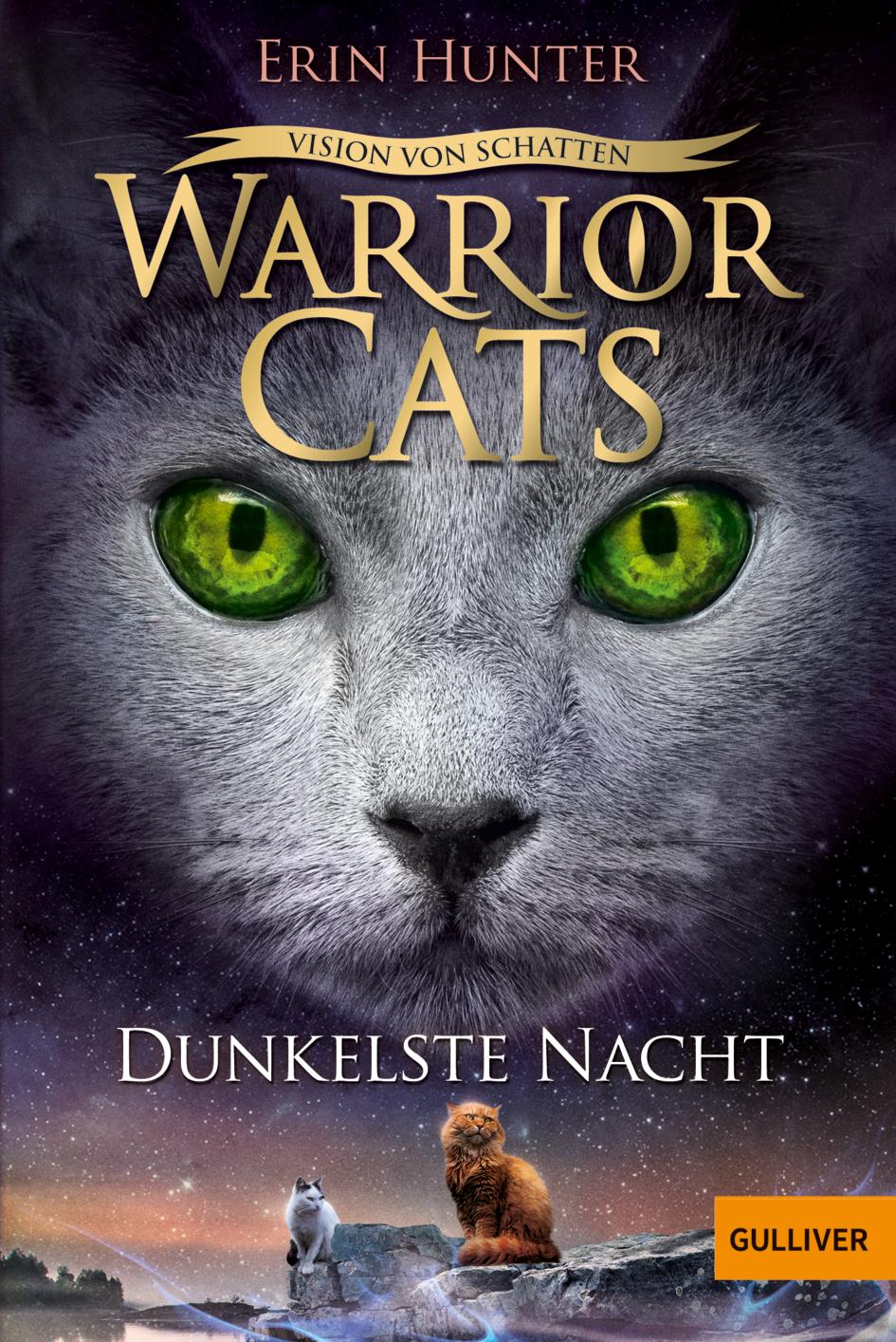 Cover: 9783407812599 | Warrior Cats 6/04 Vision von Schatten. Dunkelste Nacht | Erin Hunter