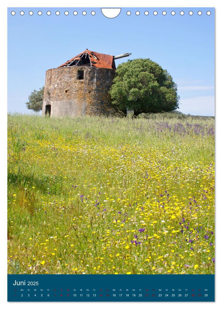 Bild: 9783435901746 | Erlebnis Windmühle (Wandkalender 2025 DIN A4 hoch), CALVENDO...