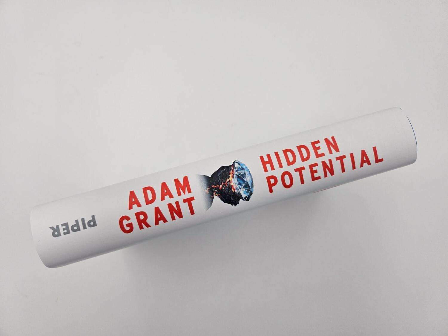 Bild: 9783492072915 | Hidden Potential - Die Wissenschaft des Erfolgs | Adam Grant | Buch