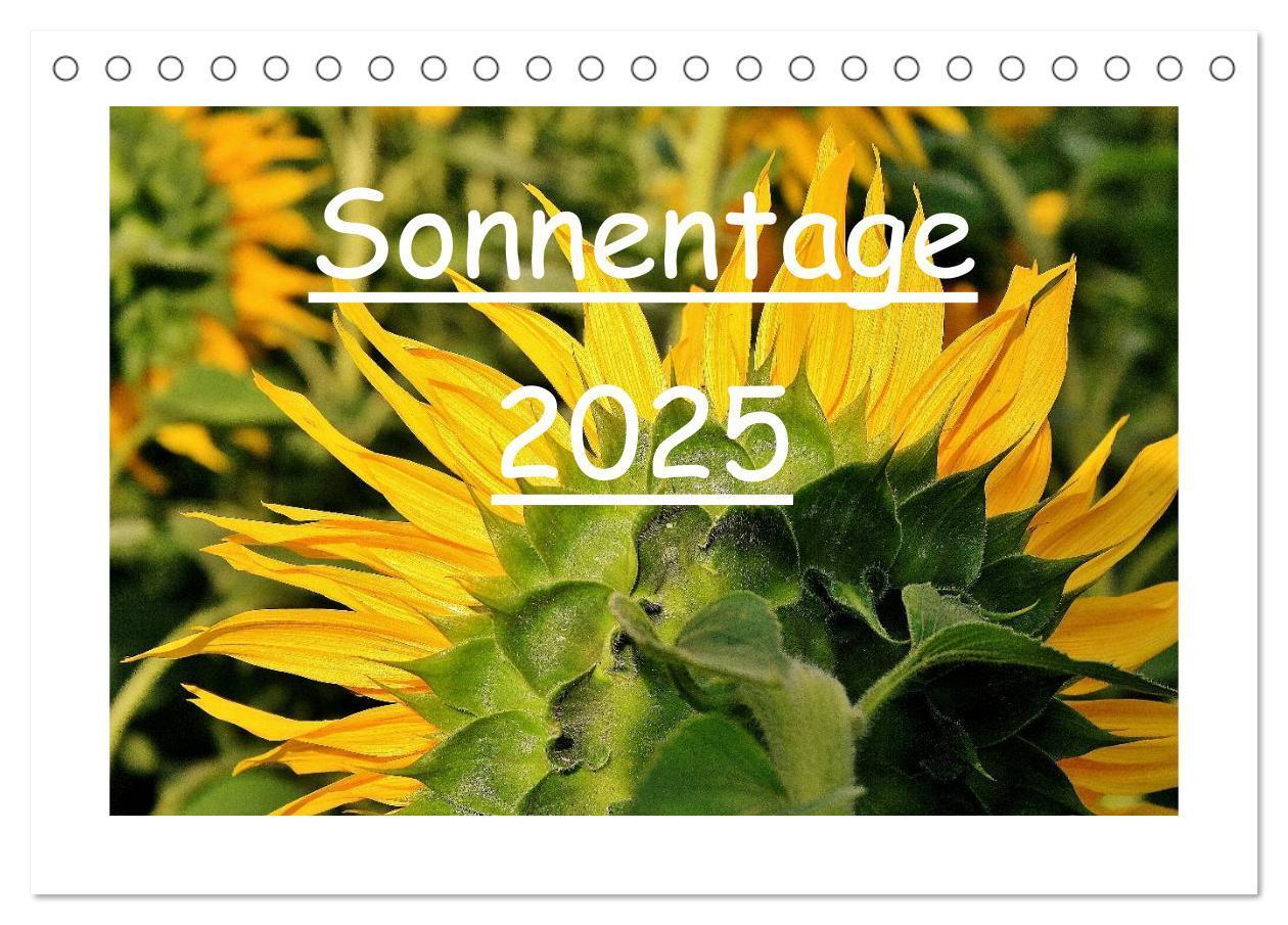 Cover: 9783435756100 | Sonnentage 2025 (Tischkalender 2025 DIN A5 quer), CALVENDO...