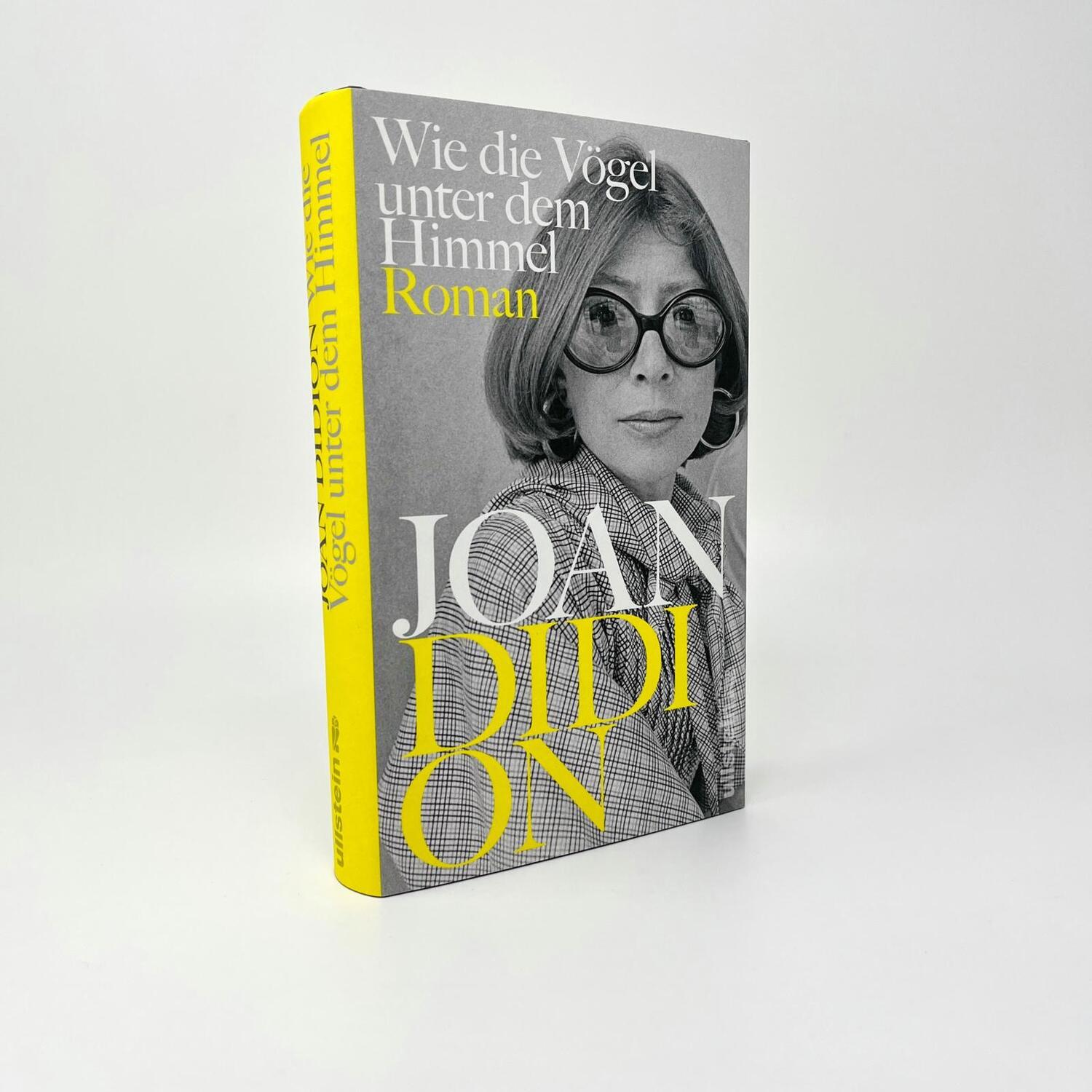 Bild: 9783550201868 | Wie die Vögel unter dem Himmel | Joan Didion | Buch | 336 S. | Deutsch