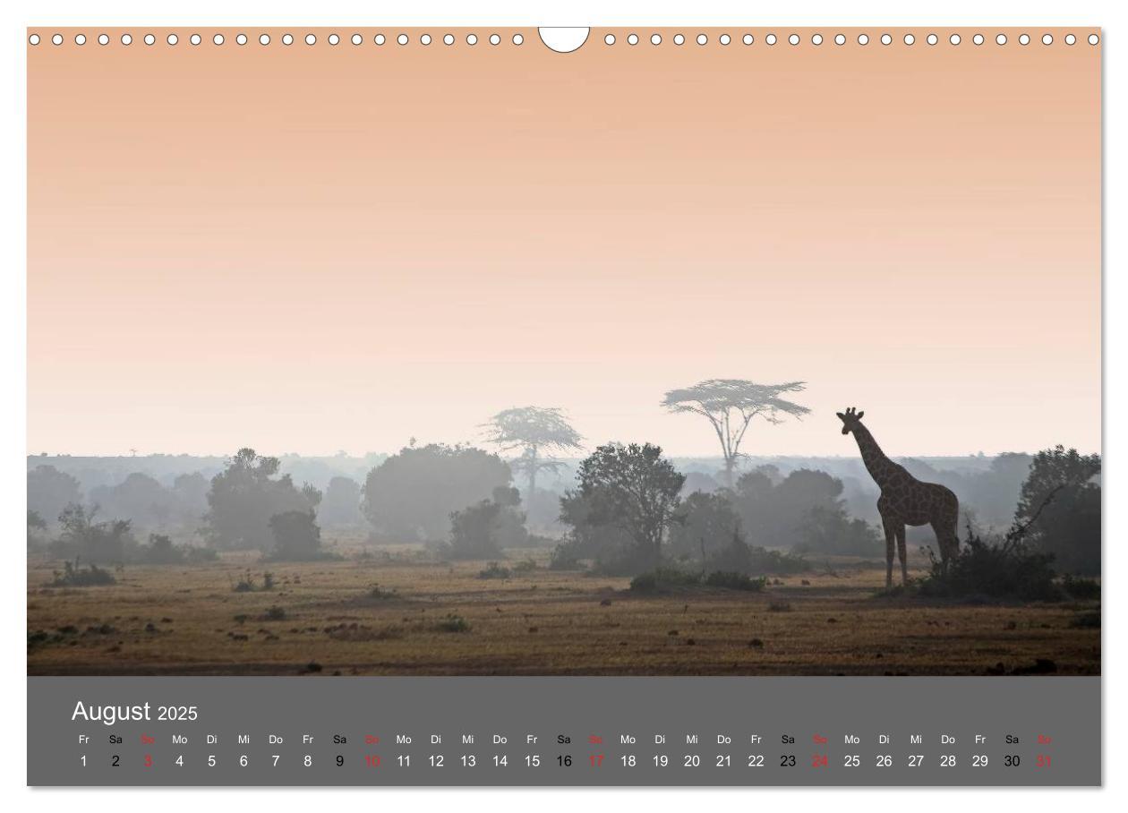 Bild: 9783435833900 | Ich träumte von Afrika (Wandkalender 2025 DIN A3 quer), CALVENDO...