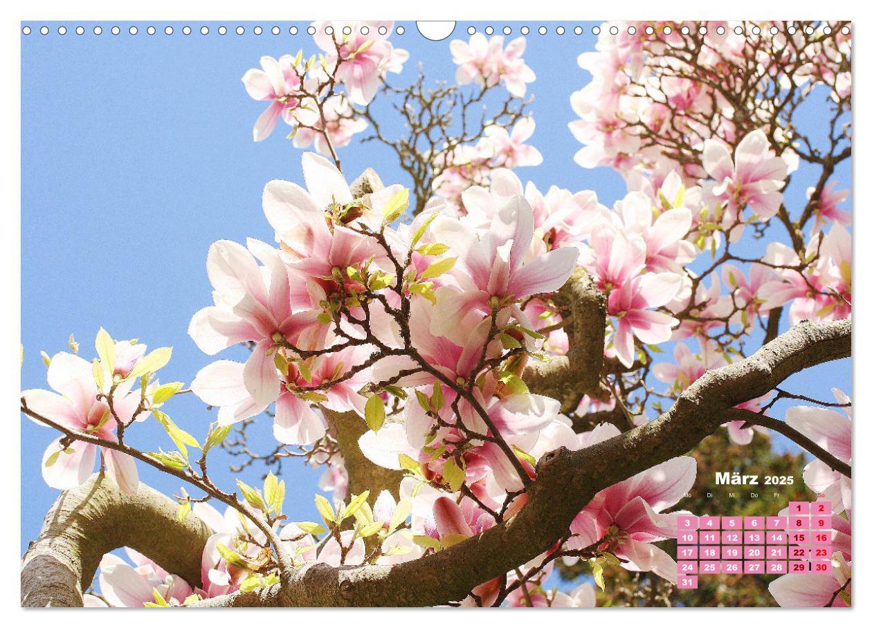 Bild: 9783383989124 | Urlaub im Garten (Wandkalender 2025 DIN A3 quer), CALVENDO...