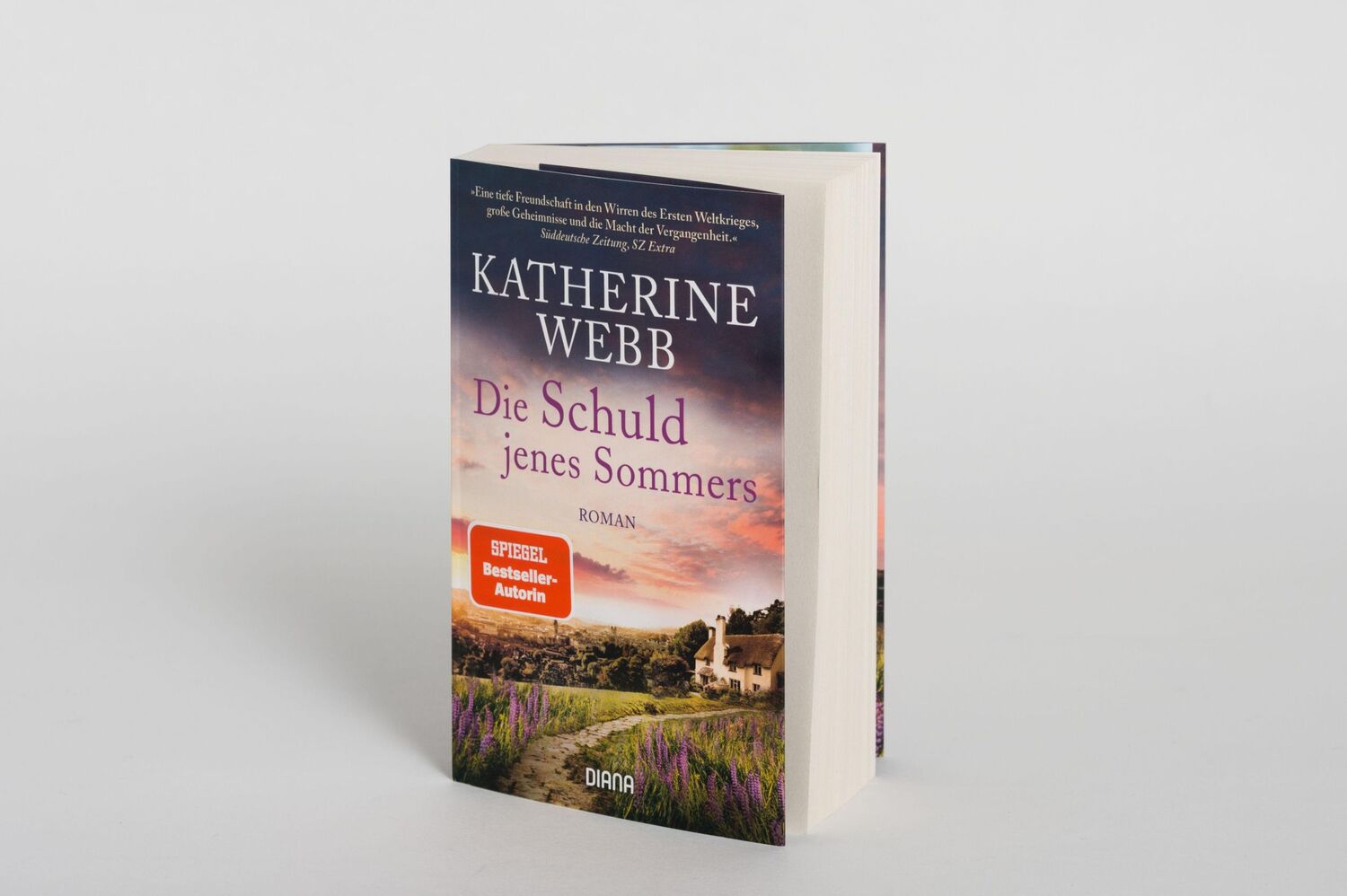 Bild: 9783453358256 | Die Schuld jenes Sommers | Roman | Katherine Webb | Taschenbuch | 2021