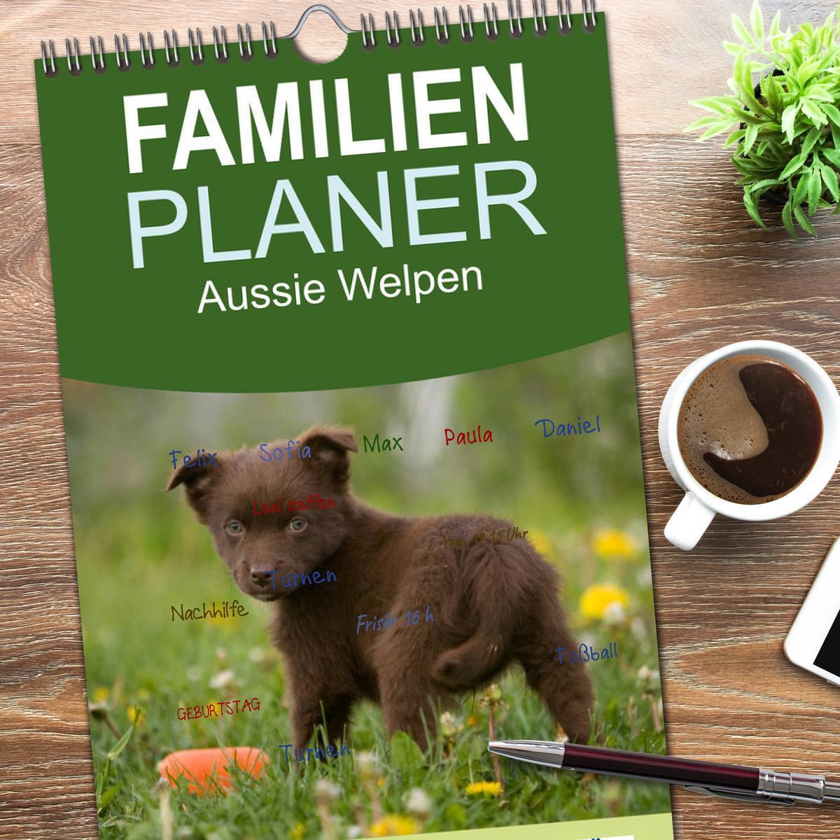 Bild: 9783457105504 | Familienplaner 2025 - Aussie Welpen 2025 mit 5 Spalten...