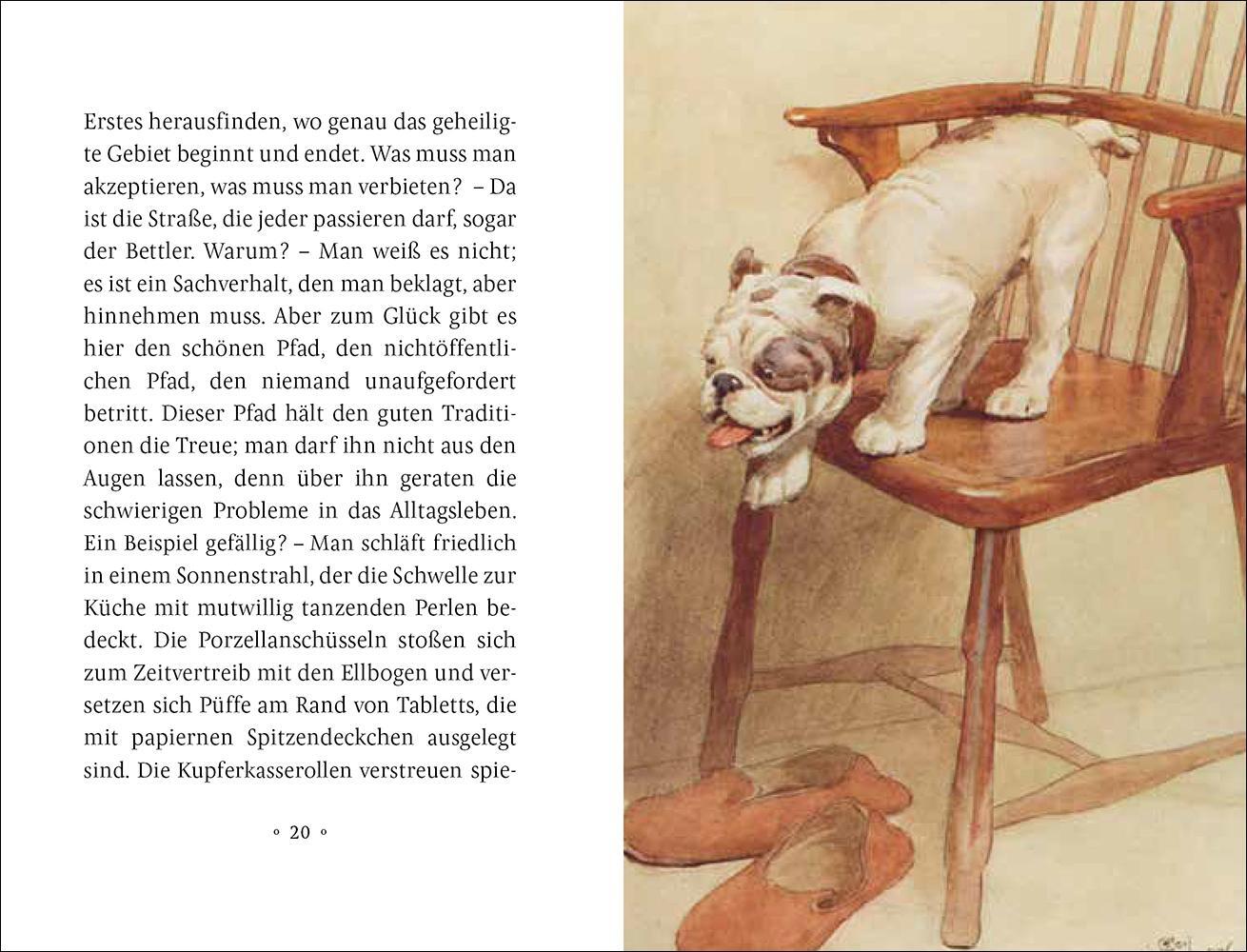 Bild: 9783458205272 | Mein Hund | Maurice Maeterlinck | Buch | Insel-Bücherei | 45 S. | 2020