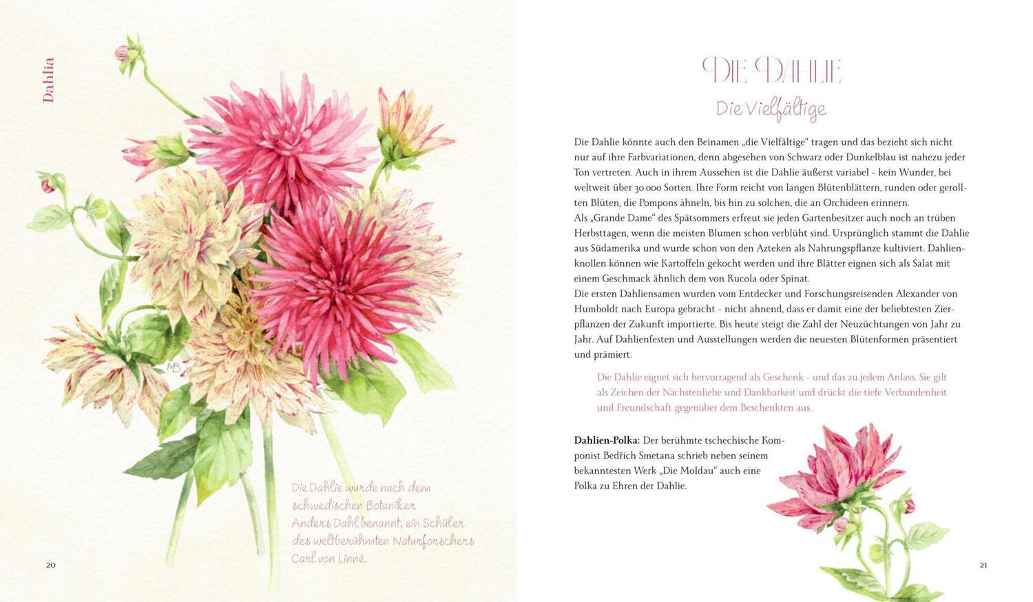 Bild: 9783649648048 | Vom Zauber der Blumen | Stefanie Zysk | Buch | Inspirationen | 144 S.