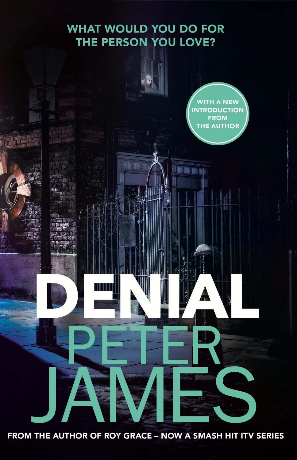 Cover: 9781409181231 | Denial | A gripping thriller filled with twists and turns | James