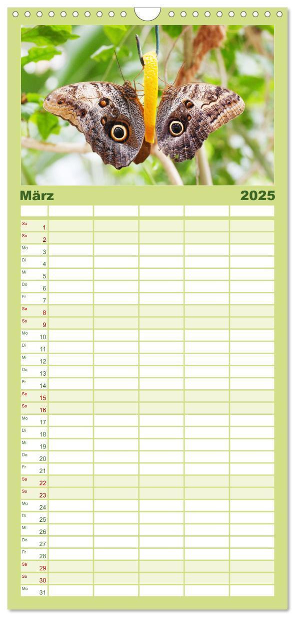 Bild: 9783457100844 | Familienplaner 2025 - Sanfte Natur mit 5 Spalten (Wandkalender, 21...