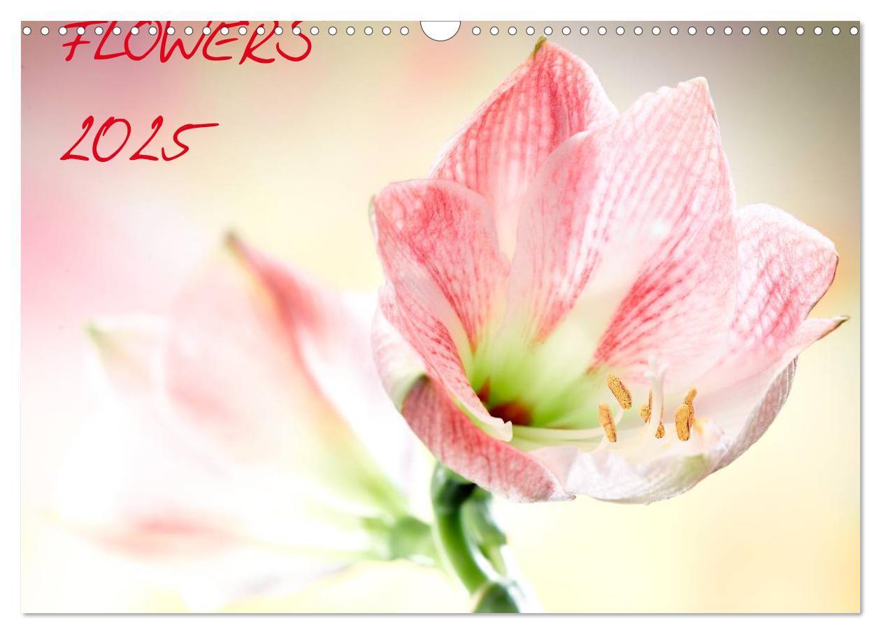 Cover: 9783435770274 | Flowers / 2025 (Wandkalender 2025 DIN A3 quer), CALVENDO...