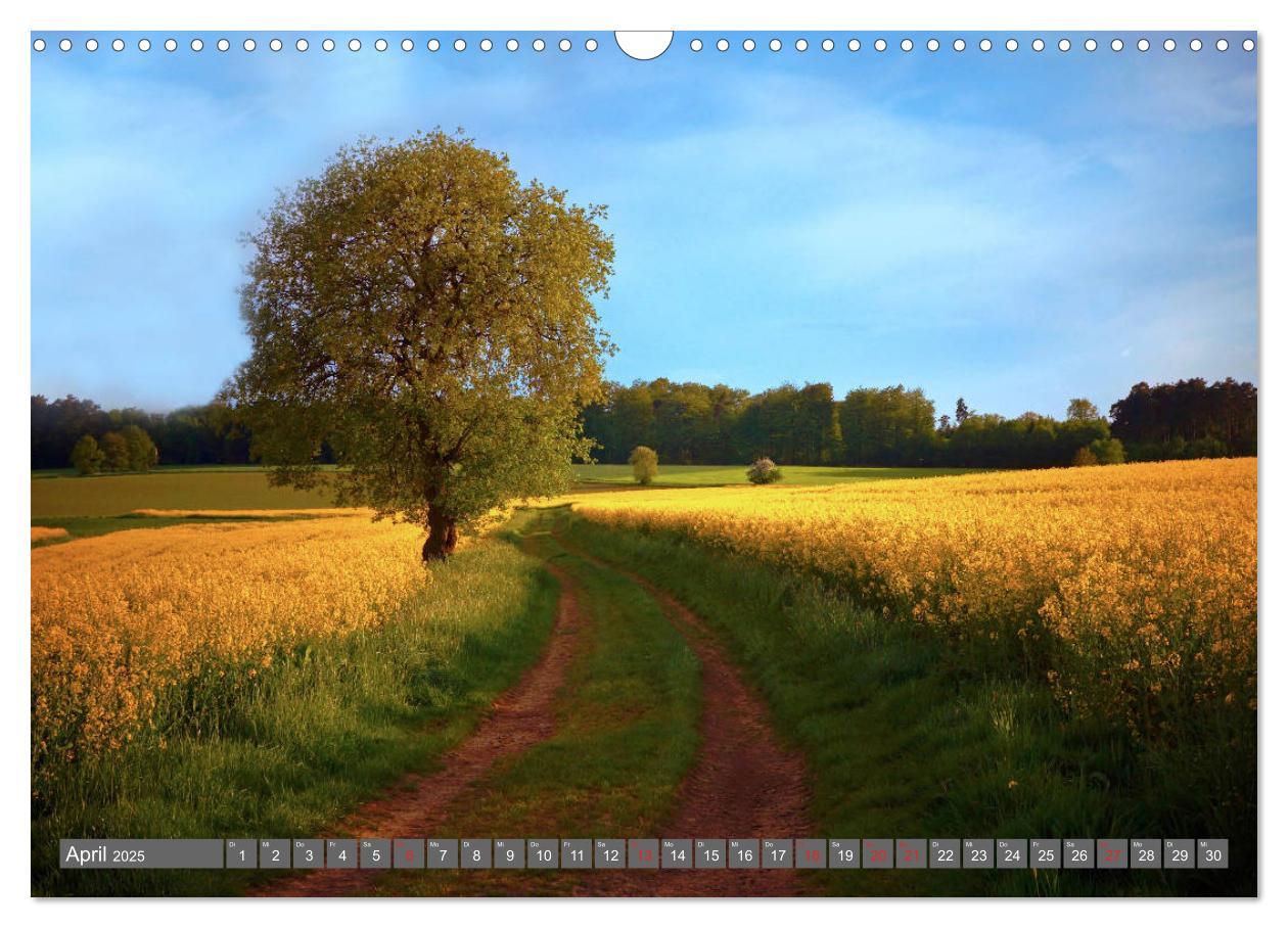 Bild: 9783435201518 | Zauberhafte Schwalm (Wandkalender 2025 DIN A3 quer), CALVENDO...