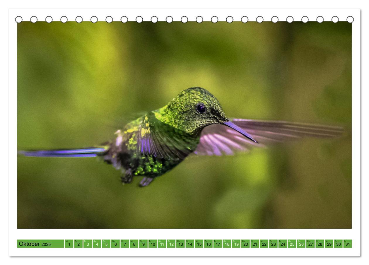 Bild: 9783435428588 | Kolibris; Anmut, Schönheit, Farben (Tischkalender 2025 DIN A5...