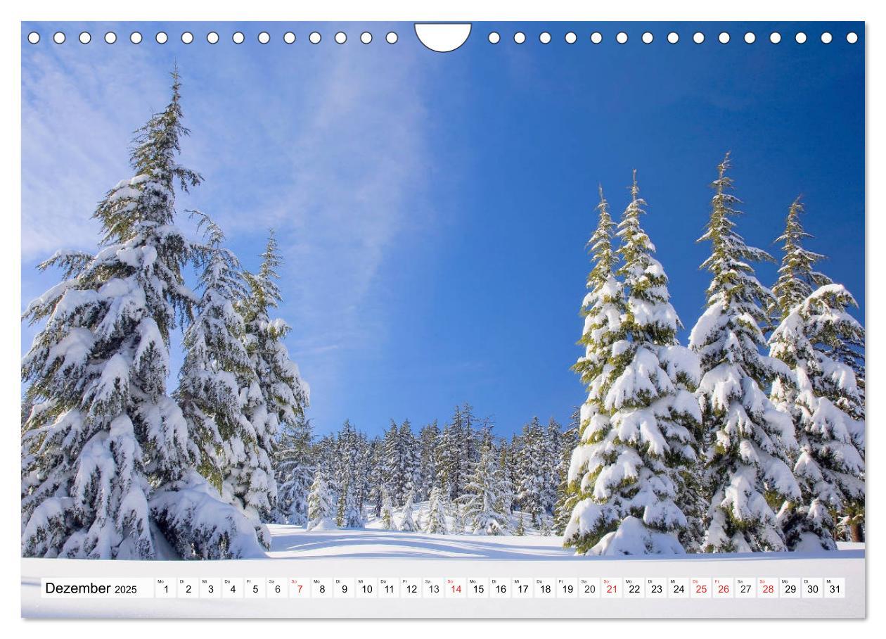 Bild: 9783435317813 | Winter. Zauberhafte Schneelandschaften (Wandkalender 2025 DIN A4...