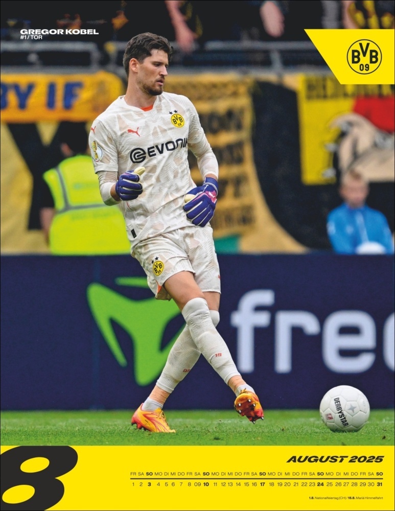 Bild: 9783756405435 | BVB Posterkalender 2025 | Kalender | Spiralbindung | 15 S. | Deutsch