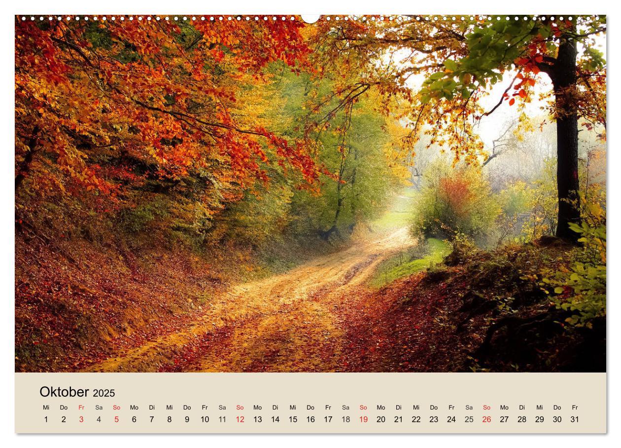 Bild: 9783435317714 | Der Wald. Durch zauberhafte Waldlandschaften (Wandkalender 2025 DIN...