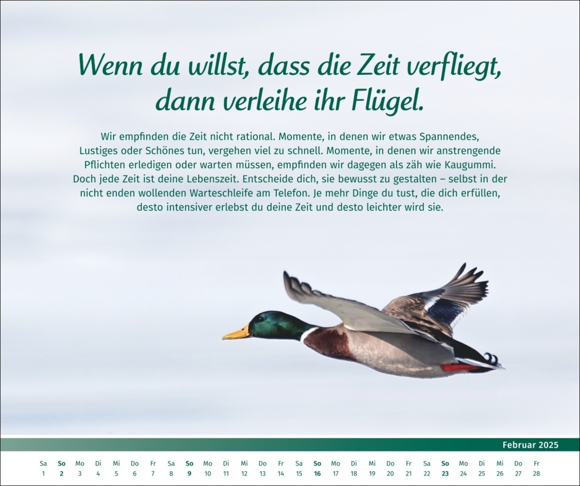 Bild: 9783840196089 | PAL - Der Lebensfreude-Inspirationen-Kalender 2025 | Kalender | 14 S.