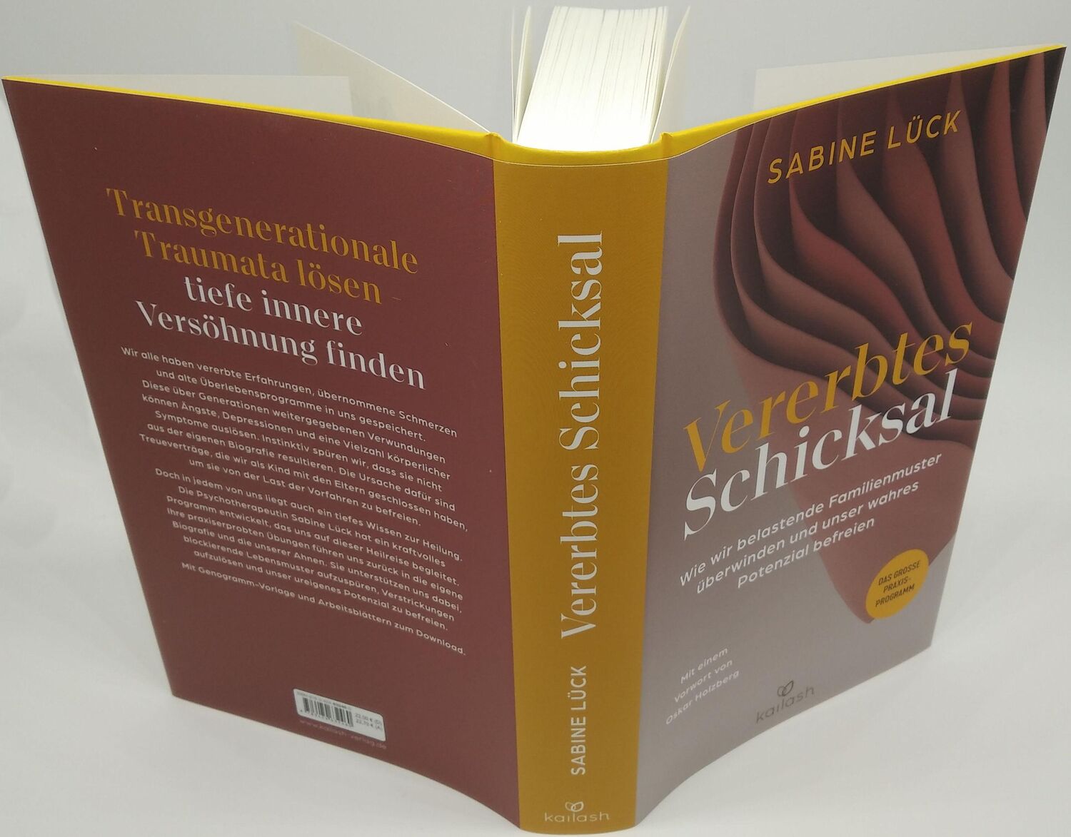 Bild: 9783424632460 | Vererbtes Schicksal | Sabine Lück | Buch | 368 S. | Deutsch | 2023