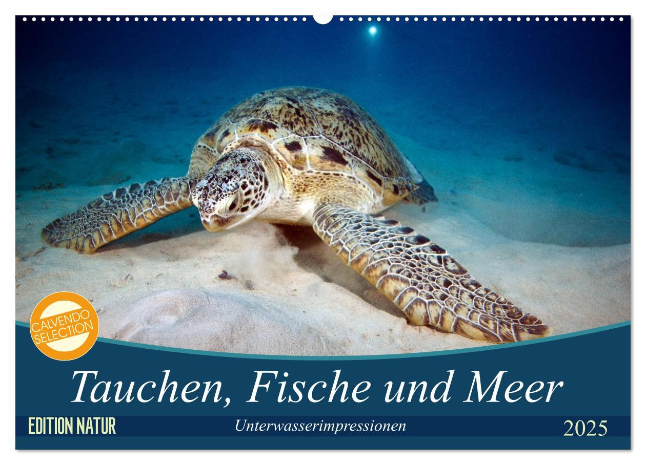 Cover: 9783435409525 | Tauchen, Fische und Meer (Wandkalender 2025 DIN A2 quer), CALVENDO...