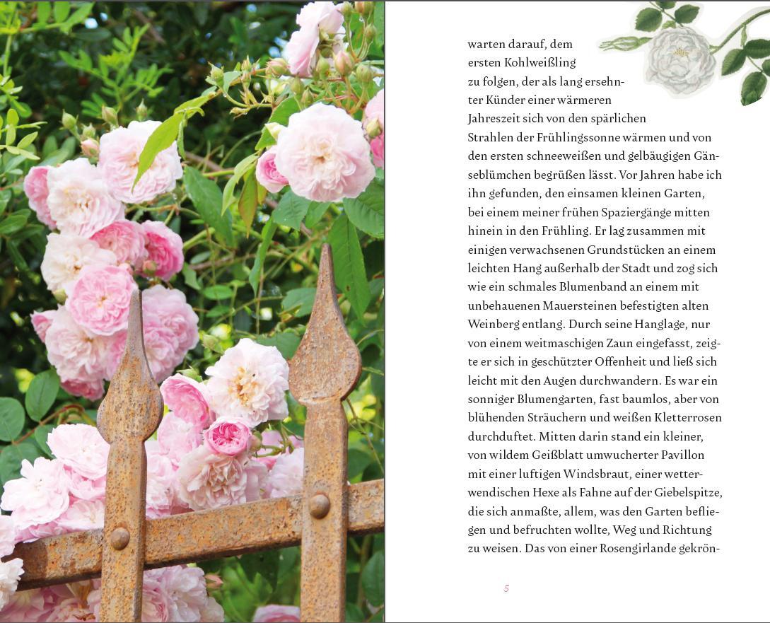 Bild: 9783799511247 | Der kleine Schmetterlingsgarten | Rosemarie Doms | Buch | 64 S. | 2017