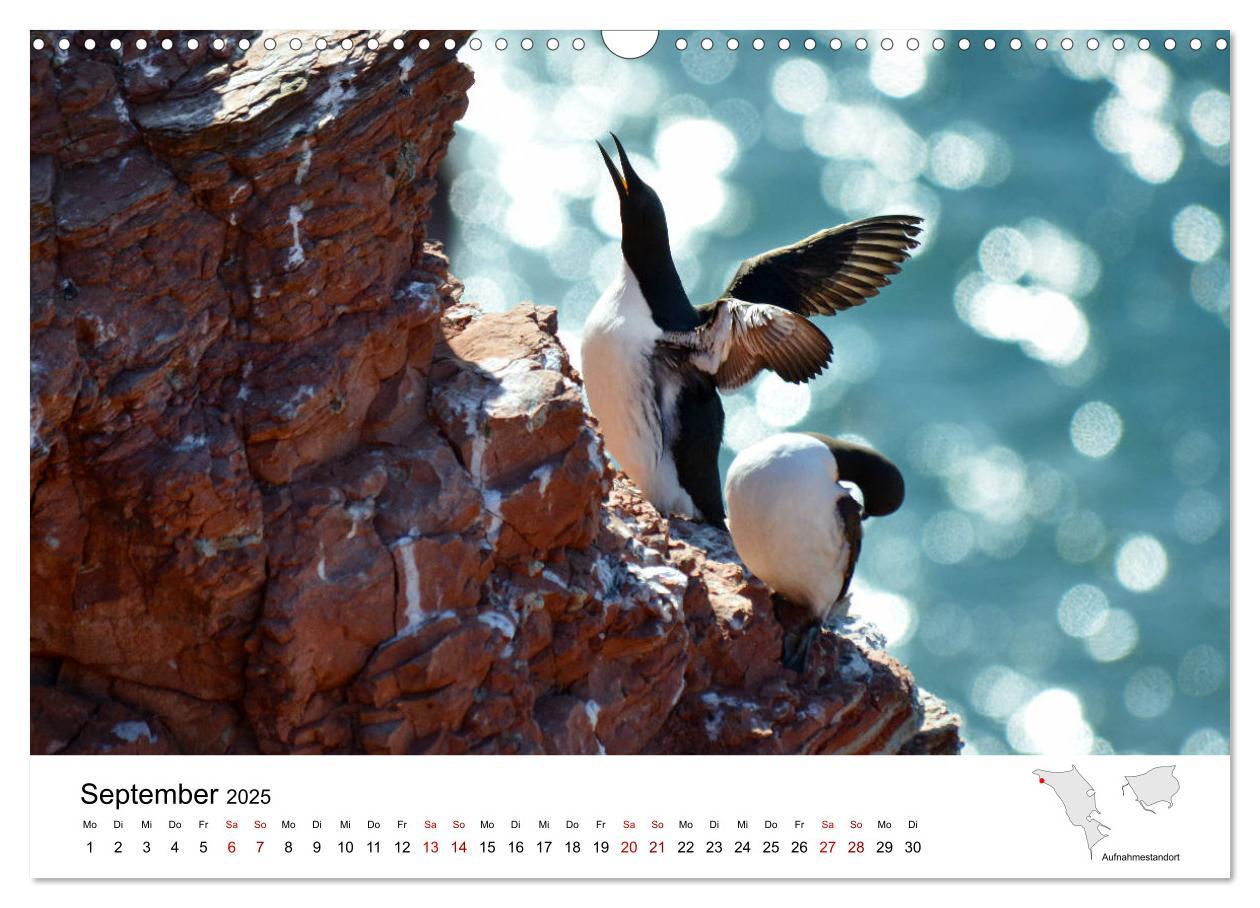 Bild: 9783435390304 | Mitreisekalender 2025 Helgoland (Wandkalender 2025 DIN A3 quer),...