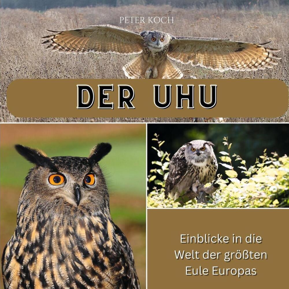 Cover: 9783750565319 | Der Uhu | Einblicke in die Welt der größten Eule Europas | Peter Koch