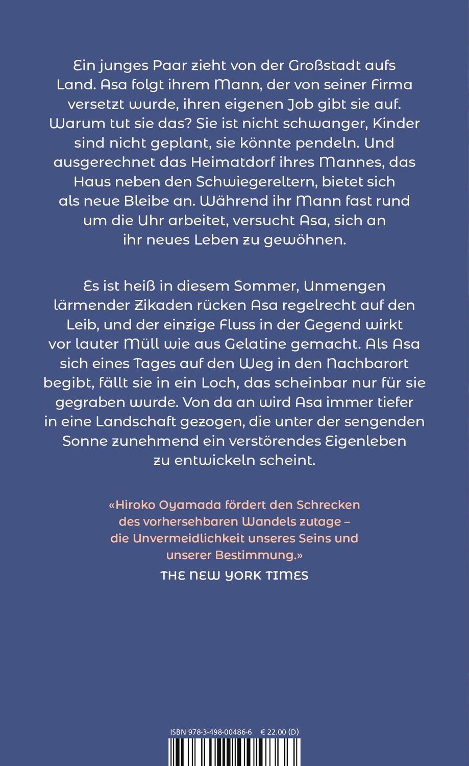 Rückseite: 9783498004866 | Das Loch | Roman "Ein Meisterwerk der Unheimlichkeit." DIE ZEIT | Buch