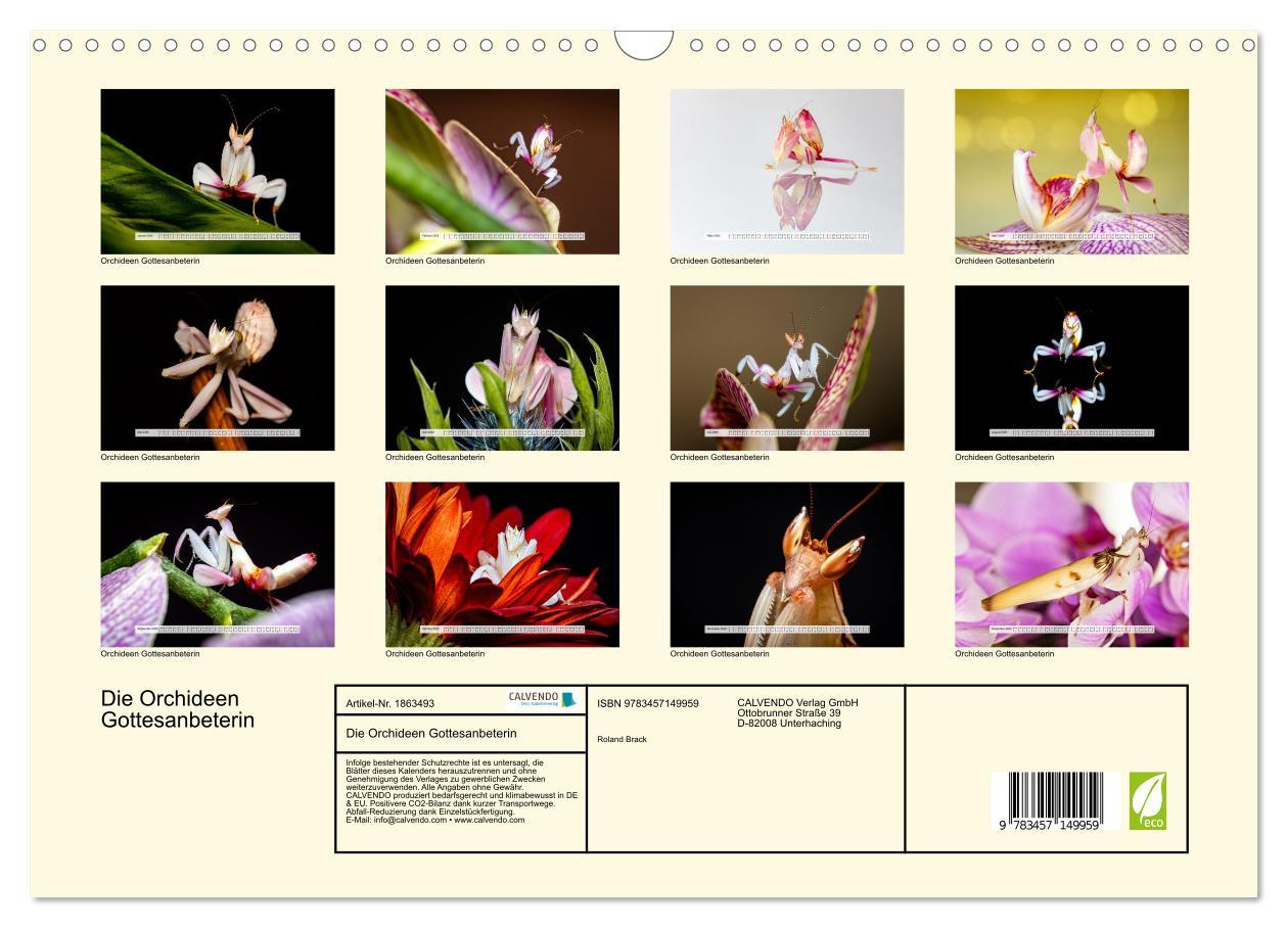 Bild: 9783457149959 | Die Orchideen Gottesanbeterin (Wandkalender 2025 DIN A3 quer),...