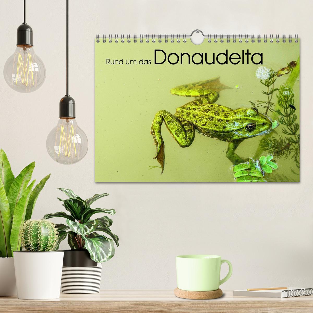 Bild: 9783383803024 | Rund um das Donaudelta (Wandkalender 2025 DIN A4 quer), CALVENDO...