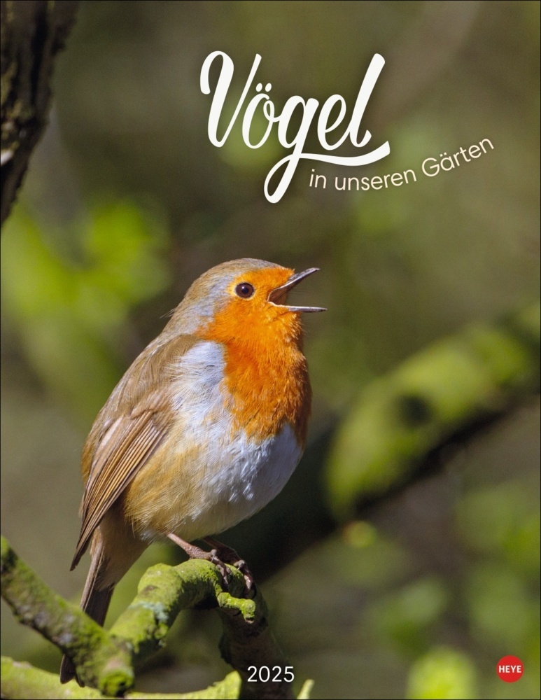 Cover: 9783756405336 | Vögel in unseren Gärten Posterkalender 2025 | Kalender | Spiralbindung