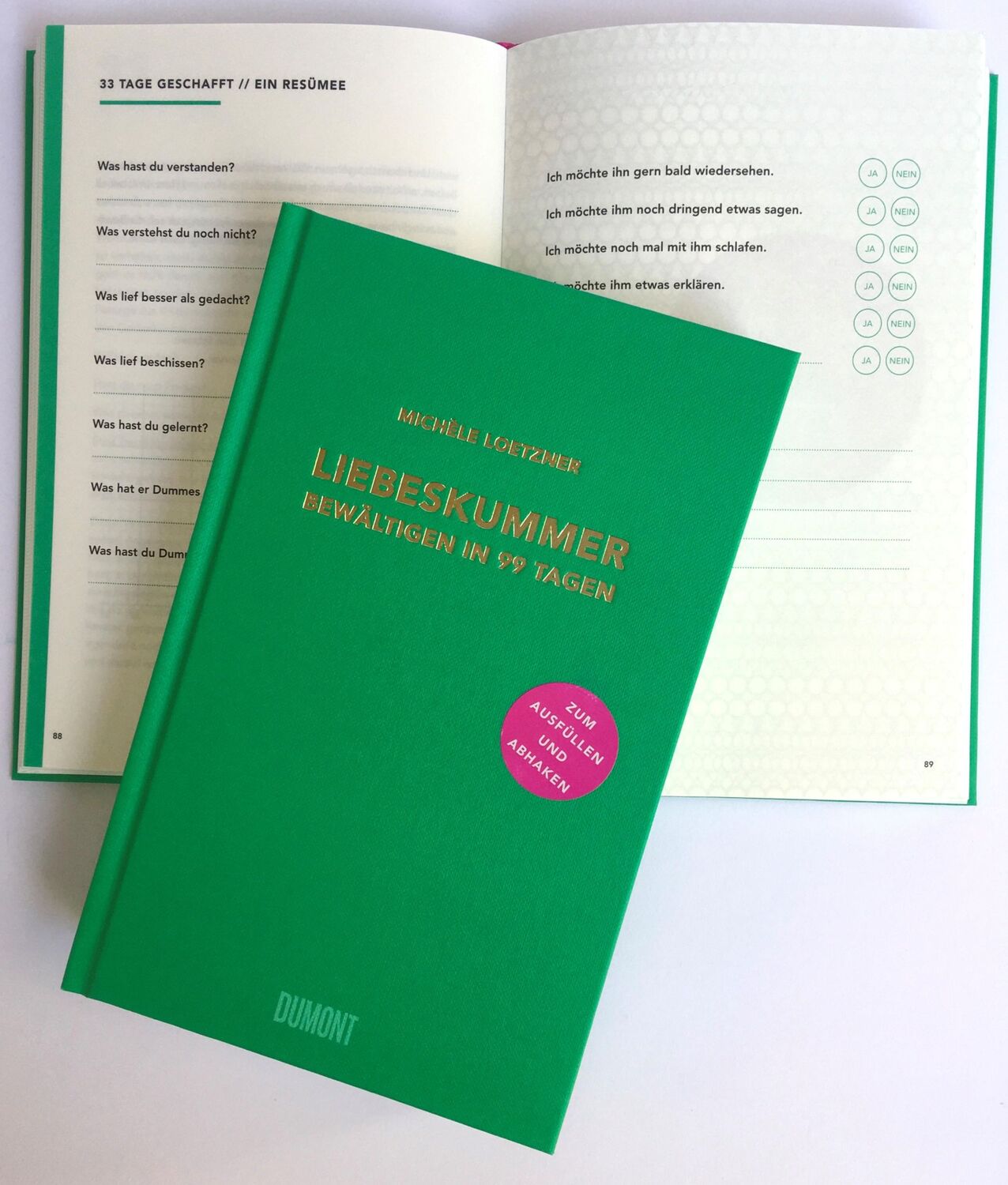 Bild: 9783832199821 | Liebeskummer bewältigen in 99 Tagen | Michèle Loetzner | Buch | 256 S.