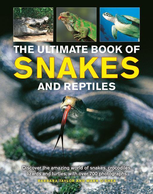 Cover: 9781861478887 | Snakes and Reptiles, Ultimate Book of | Barbara Taylor | Buch | 2022