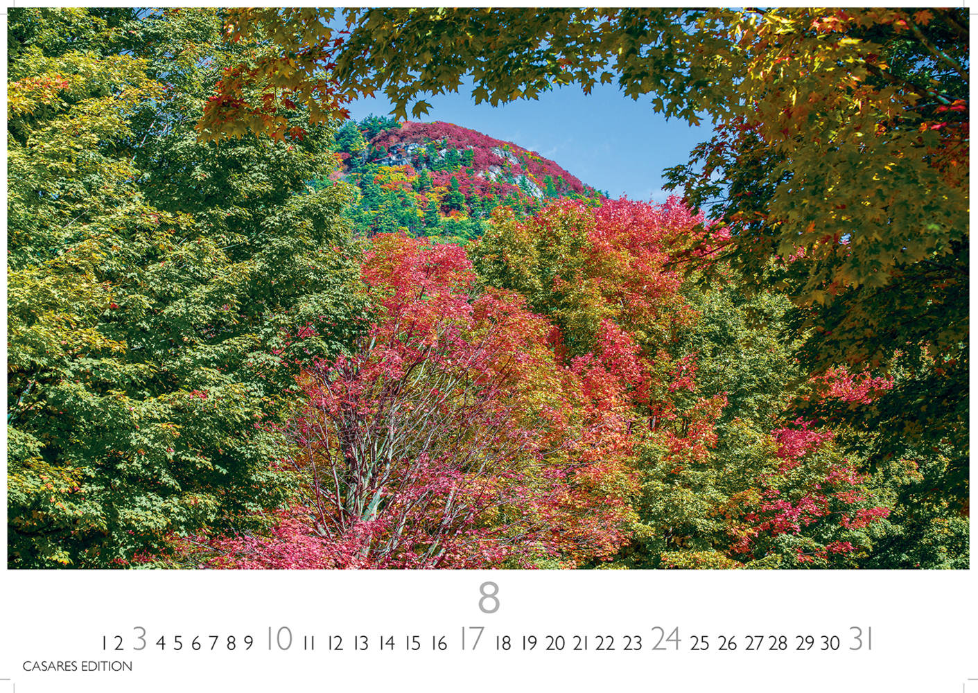 Bild: 9781835242803 | Indian Summer 2025 L 35x50cm | Kalender | 14 S. | Deutsch | 2025