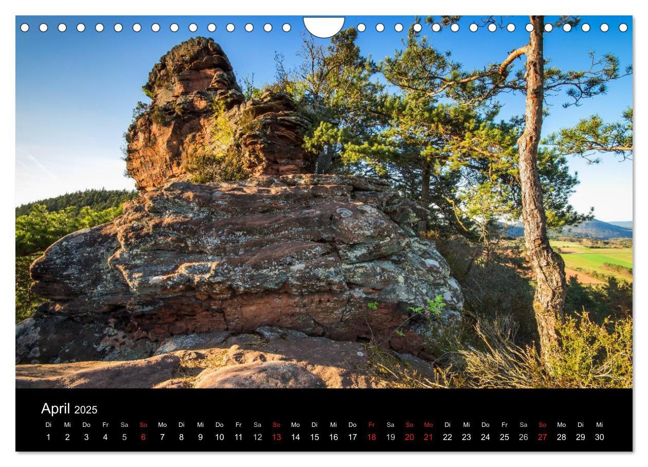 Bild: 9783435592883 | Mystischer Pfälzer Wald (Wandkalender 2025 DIN A4 quer), CALVENDO...