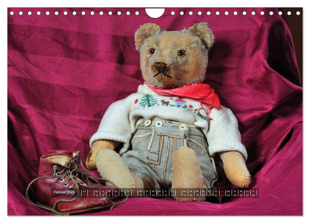 Bild: 9783435627592 | Die Teddys sind los (Wandkalender 2025 DIN A4 quer), CALVENDO...