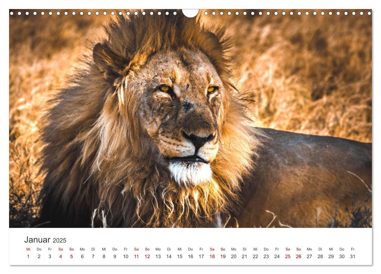 Bild: 9783383976902 | Namibia - Ein Paradies auf Erden. (Wandkalender 2025 DIN A3 quer),...