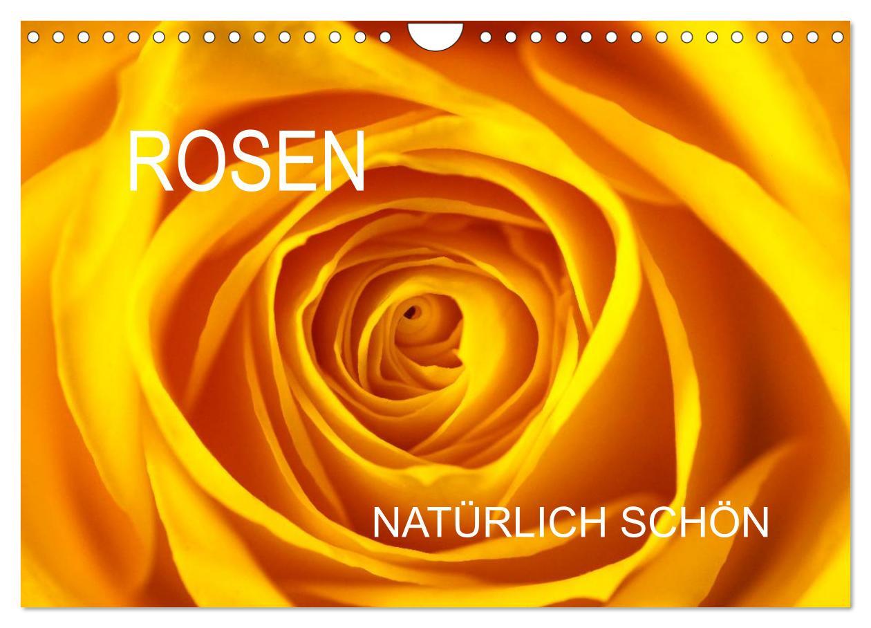 Cover: 9783435652044 | Rosen natürlich schön (Wandkalender 2025 DIN A4 quer), CALVENDO...