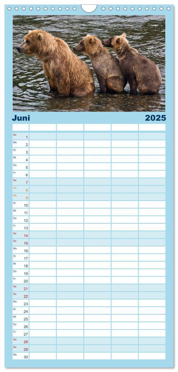 Bild: 9783457121344 | Familienplaner 2025 - Der Alaska Kalender mit 5 Spalten...