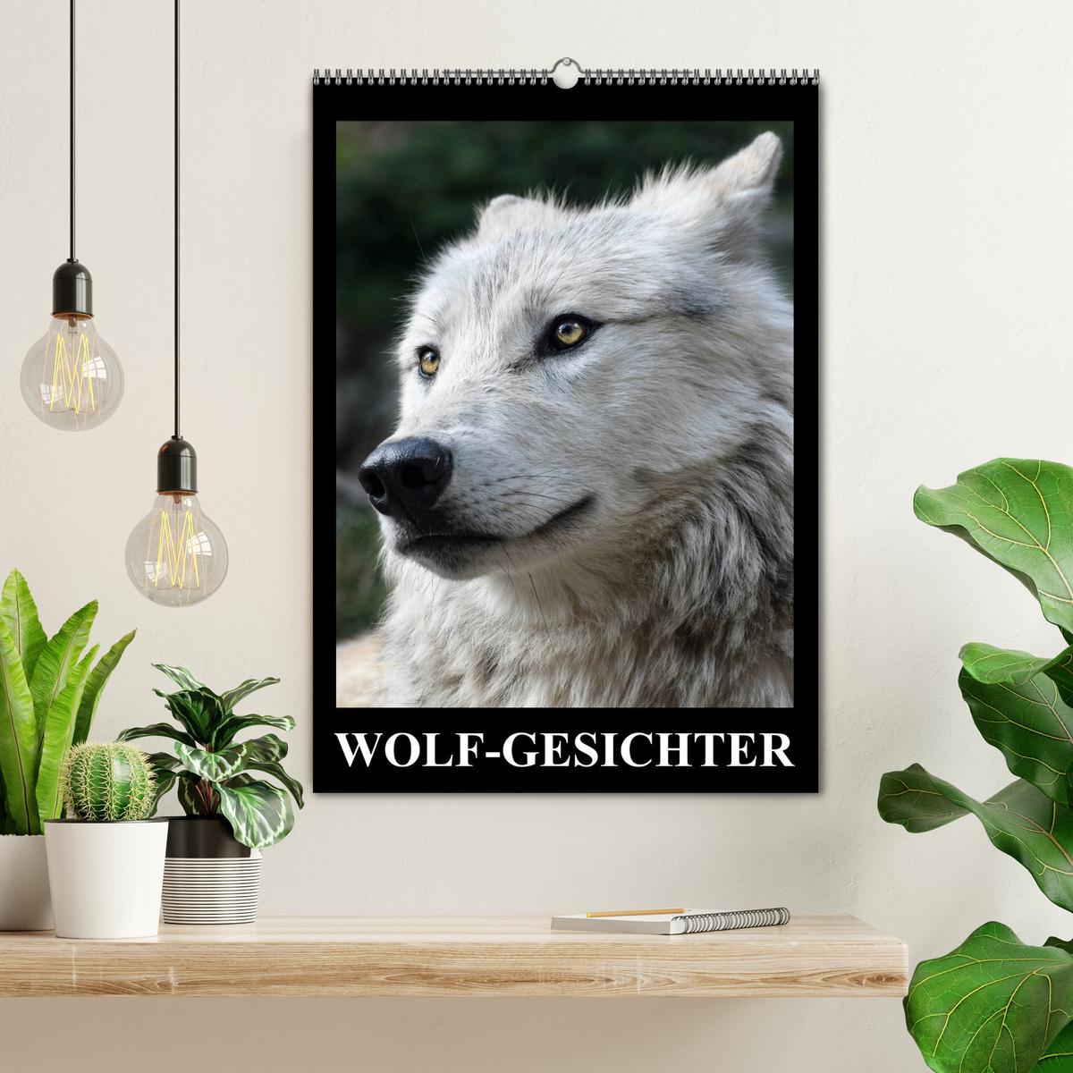 Bild: 9783457065587 | Wolf-Gesichter (Wandkalender 2025 DIN A2 hoch), CALVENDO...