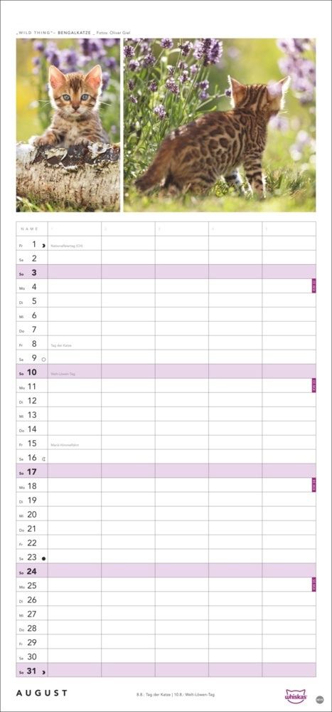 Bild: 9783756405831 | Whiskas Familienplaner 2025 | Kalender | Spiralbindung | 14 S. | 2025